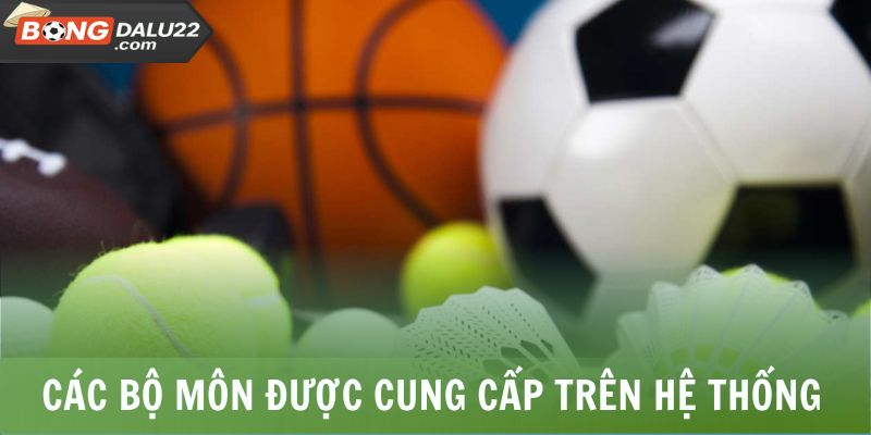 BONGDALU 24 Các bộ môn được cung cấp trên hệ thống