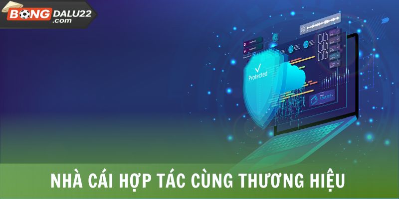 BONGDALU 20 Nhà cái chọn hợp tác cùng trang BONGDALU
