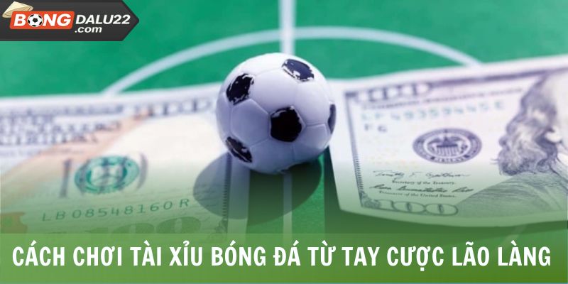 Cách Chơi Tài Xỉu Bóng Đá Chuẩn Săn Thưởng Hậu Hĩnh 7 Cách chơi tài xỉu bóng đá từ tay cược lão làng