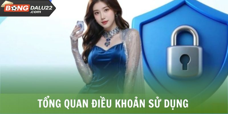 Điều Khoản Sử Dụng BONGDALU 1 Tổng quan điều khoản sử dụng