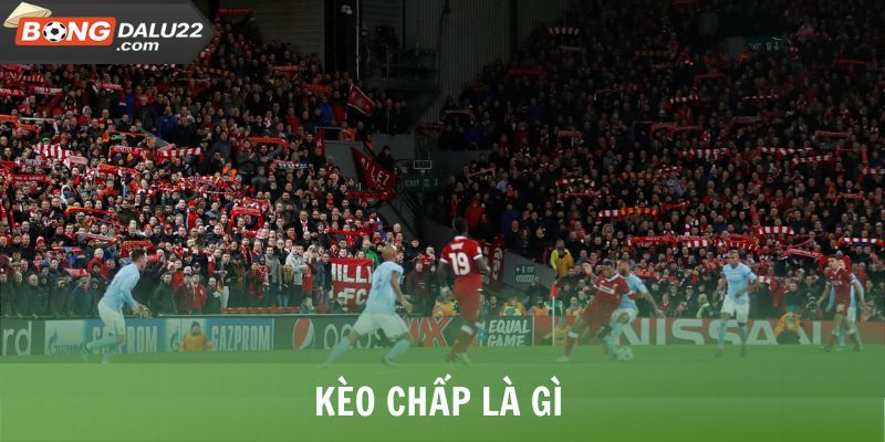 Kèo Chấp Là Gì Và Hướng Dẫn Đọc, Cách Bắt Kèo Trúng Lớn 4 Kèo Chấp Là Gì