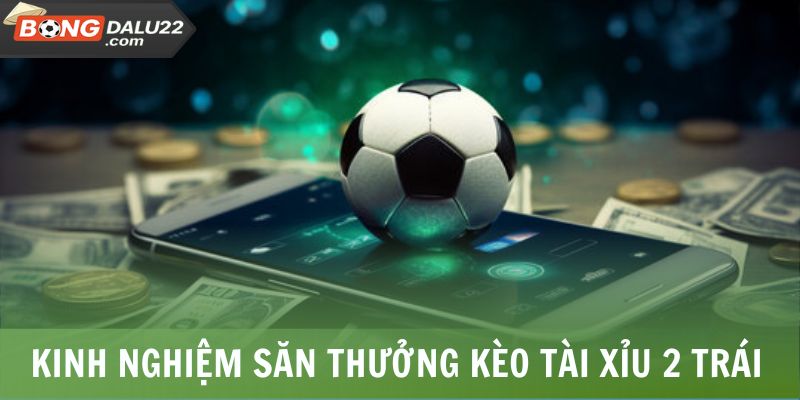 Lời Giải Đáp Tài Xỉu 2 Trái Là Gì Chi Tiết Từ BONGDALU 7 Kinh nghiệm săn thưởng với kèo tài xỉu 2 trái