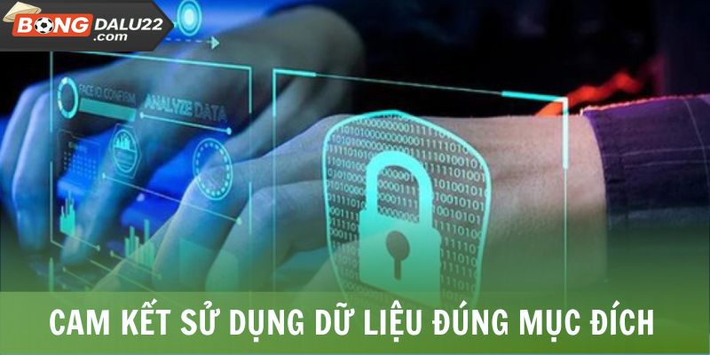 Quyền Riêng Tư BONGDALU 3 Cam kết sử dụng dữ liệu đúng mục đích