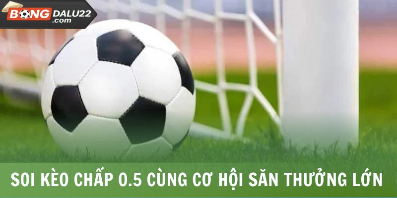 Kèo Chấp 0.5 - Bí Kíp Bắt Kèo Chuẩn Xác Từ Chuyên Gia 5 Soi kèo chấp 0.5 cùng cơ hội săn thưởng lớn