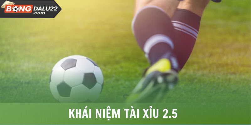 Tài Xỉu 2.5 Là Gì? Cách Đọc, Kinh Nghiệm Bắt Kèo Hiệu Quả 5 Khái niệm Tài Xỉu 2.5