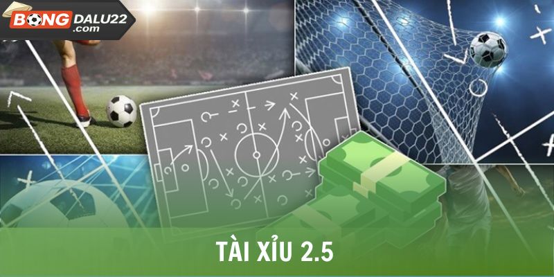 Tài Xỉu 2.5 Là Gì? Cách Đọc, Kinh Nghiệm Bắt Kèo Hiệu Quả 4 Tài Xỉu 2.5