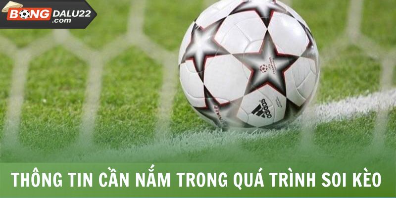 Kèo Chấp 0.5 - Bí Kíp Bắt Kèo Chuẩn Xác Từ Chuyên Gia 6 Thông tin cần nắm trong quá trình soi kèo