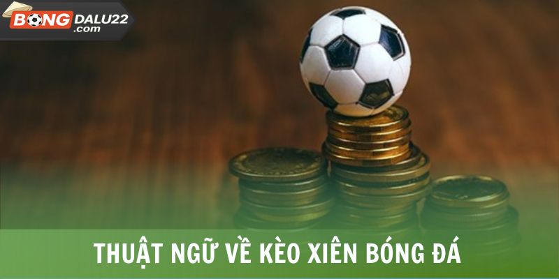 Thuật Ngữ Cá Cược Bóng Đá - BONGDALU Giải Thích Chi Tiết 7 Thuật ngữ về kèo xiên bóng đá