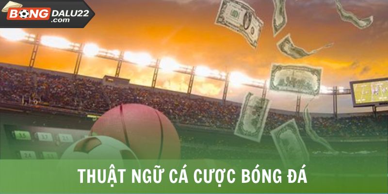 Thuật Ngữ Cá Cược Bóng Đá - BONGDALU Giải Thích Chi Tiết 4 Thuật Ngữ Cá Cược Bóng Đá