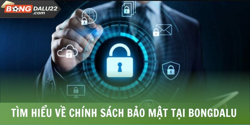Chính Sách Bảo Mật BONGDALU 1 Tìm hiểu về chính sách bảo mật tại BONGDALU